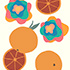 Blood Oranges and Flowers 2